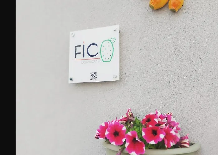 Fico Puglia San Vito dei Normanni