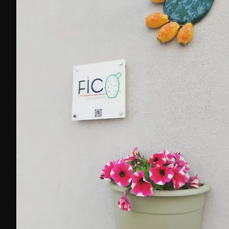 Fico Puglia San Vito dei Normanni